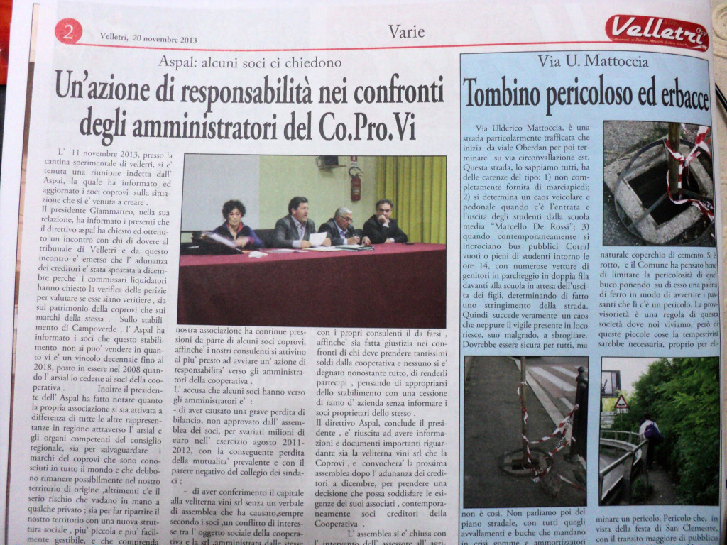 20 novembre 2013 - Un'azione di responsabilità nei confronti degli "amministratori" della Co.Pro.Vi